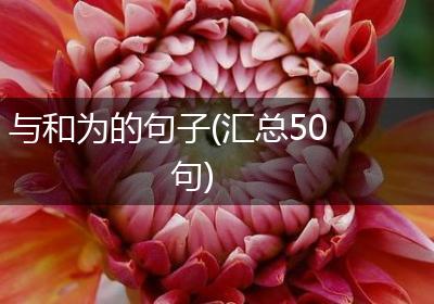 与和为的句子(汇总50句)