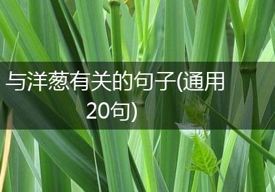 与洋葱有关的句子(通用20句)