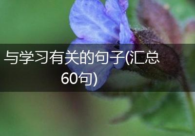 与学习有关的句子(汇总60句)