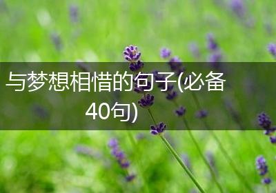 与梦想相惜的句子(必备40句)