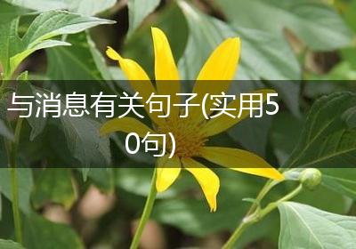 与消息有关句子(实用50句)