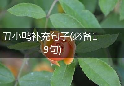 丑小鸭补充句子(必备19句)
