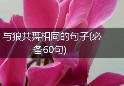 与狼共舞相同的句子(必备60句)