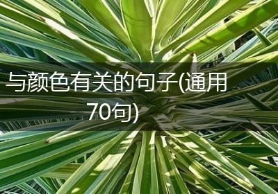 与颜色有关的句子(通用70句)