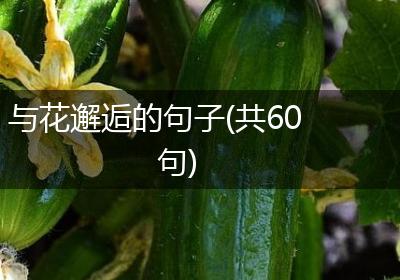 与花邂逅的句子(共60句)