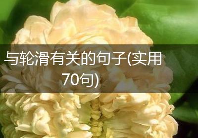 与轮滑有关的句子(实用70句)