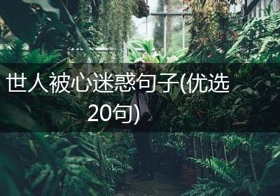 世人被心迷惑句子(优选20句)