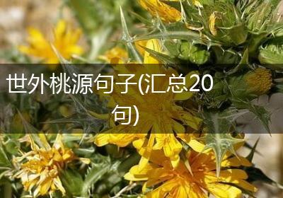 世外桃源句子(汇总20句)