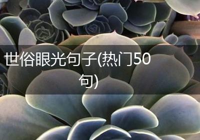 世俗眼光句子(热门50句)