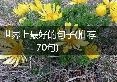 世界上最好的句子(推荐70句)