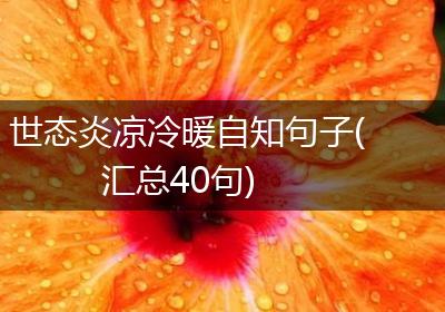 世态炎凉冷暖自知句子(汇总40句)