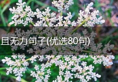 且无力句子(优选80句)