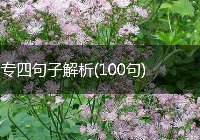专四句子解析(100句)