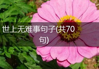 世上无难事句子(共70句)