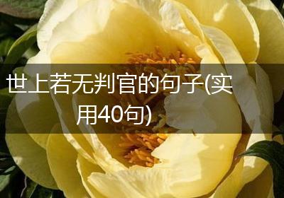 世上若无判官的句子(实用40句)