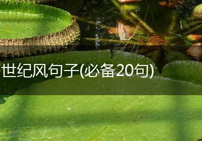 世纪风句子(必备20句)