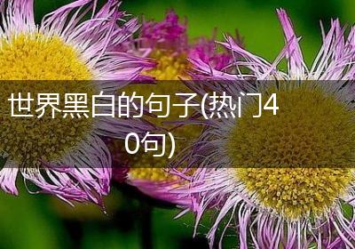 世界黑白的句子(热门40句)