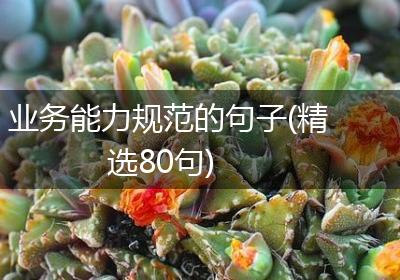 业务能力规范的句子(精选80句)