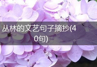 丛林的文艺句子摘抄(40句)