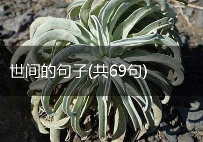 世间的句子(共69句)