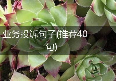 业务投诉句子(推荐40句)