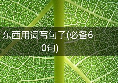 东西用词写句子(必备60句)