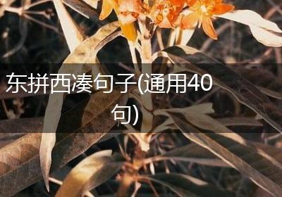 东拼西凑句子(通用40句)
