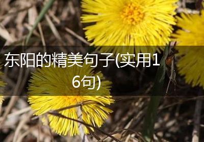 东阳的精美句子(实用16句)