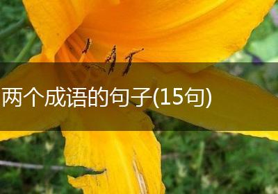 两个成语的句子(15句)