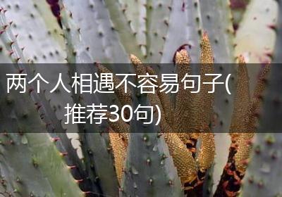 两个人相遇不容易句子(推荐30句)