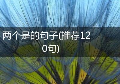 两个是的句子(推荐120句)