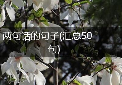 两句话的句子(汇总50句)