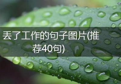 丢了工作的句子图片(推荐40句)