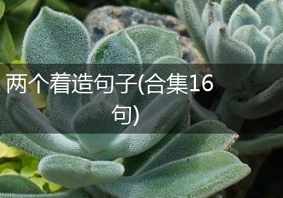 两个着造句子(合集16句)
