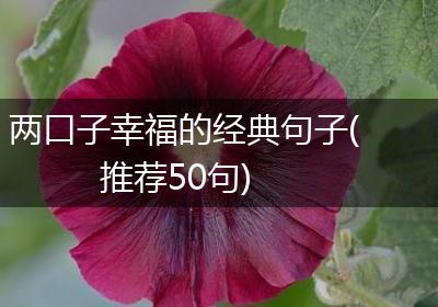 两口子幸福的经典句子(推荐50句)
