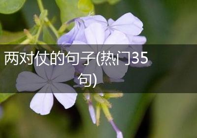 两对仗的句子(热门35句)