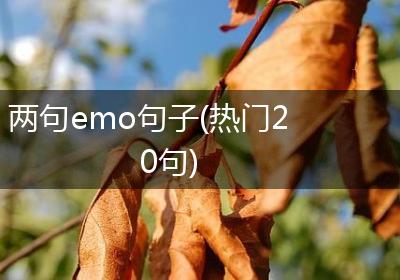 两句emo句子(热门20句)