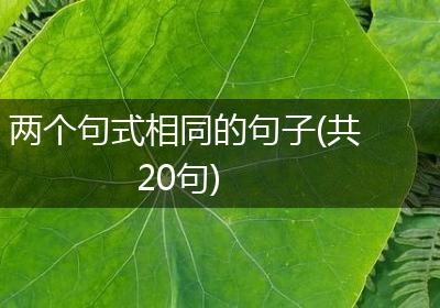 两个句式相同的句子(共20句)