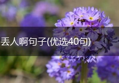 丢人啊句子(优选40句)