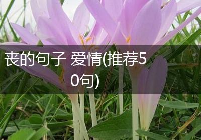 丧的句子 爱情(推荐50句)