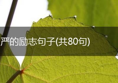 严的励志句子(共80句)
