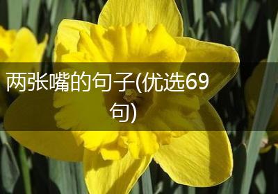 两张嘴的句子(优选69句)