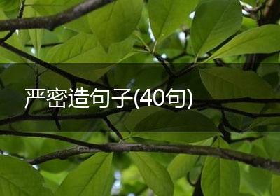 严密造句子(40句)