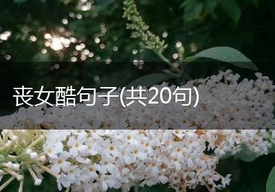 丧女酷句子(共20句)
