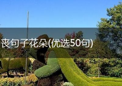 丧句子花朵(优选50句)