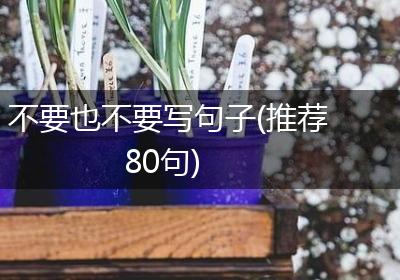 不要也不要写句子(推荐80句)