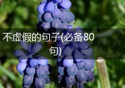 不虚假的句子(必备80句)