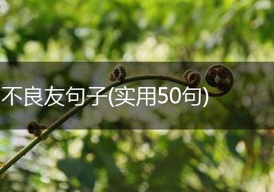 不良友句子(实用50句)