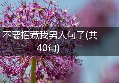 不要招惹我男人句子(共40句)
