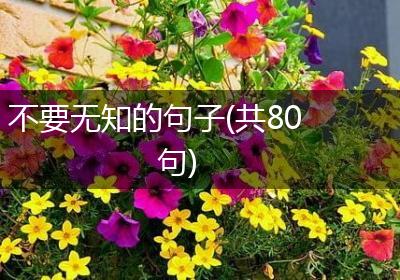 不要无知的句子(共80句)